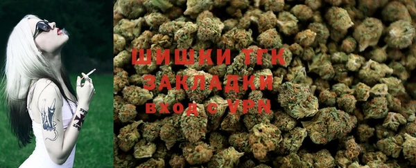 прущие крисы Арсеньев