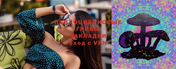 apvp Аркадак