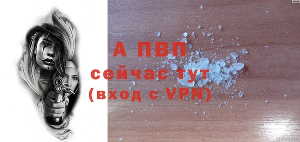 крисы Балахна