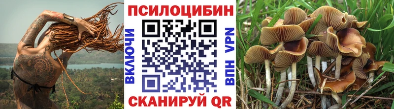 Псилоцибиновые грибы прущие грибы Чистополь
